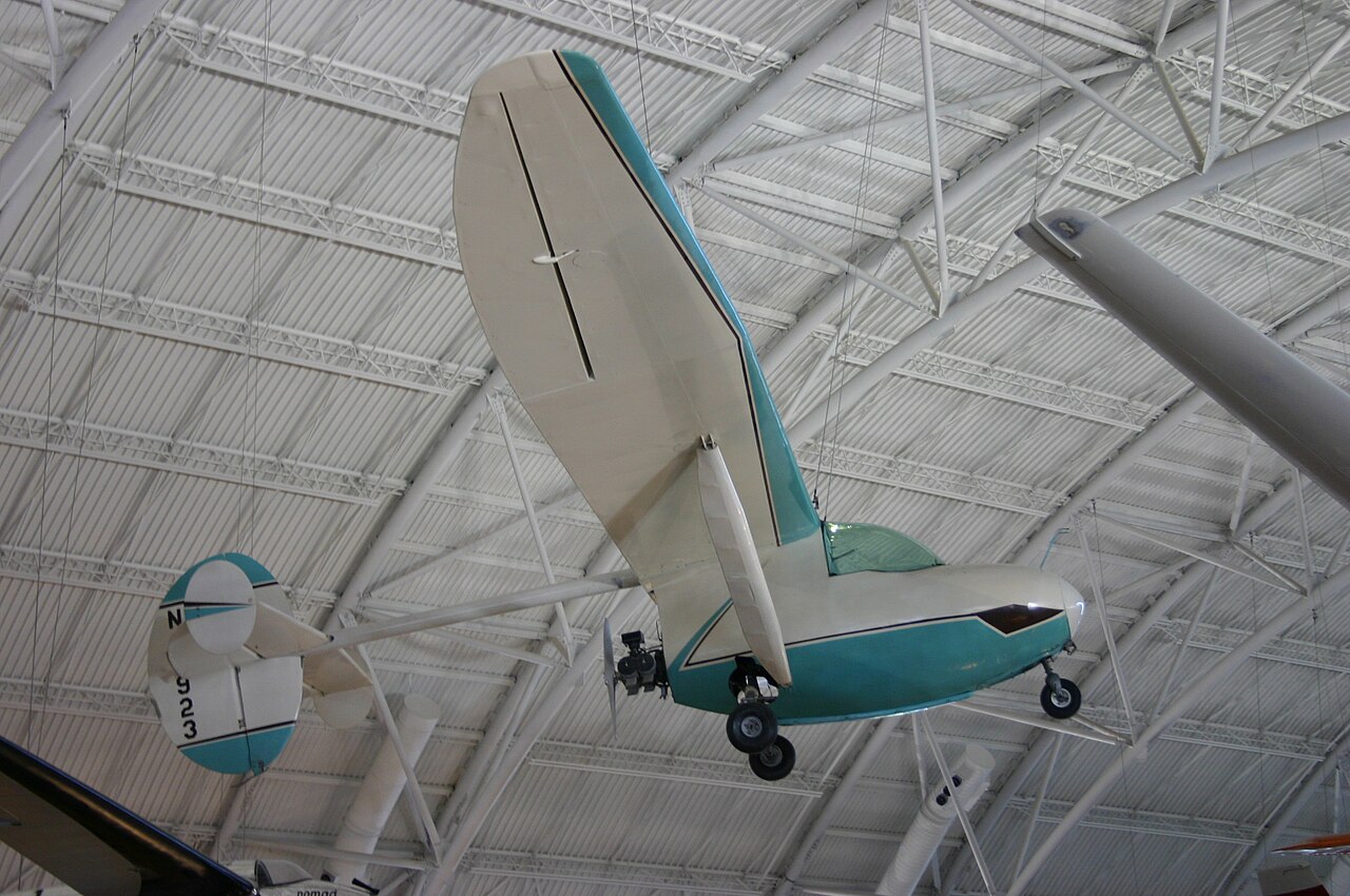 Nelson Dragonfly