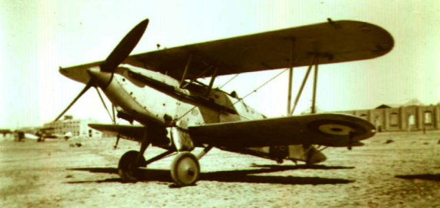 Nimrod